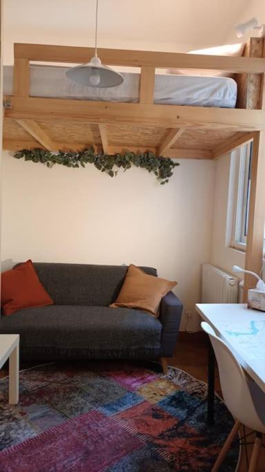 Petit Mignon - Hypercentre Toulouse Apartment ภายนอก รูปภาพ
